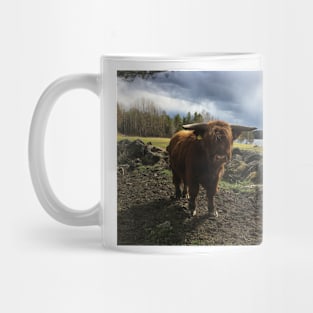 Scottish Highland Cattle Bull 2382 Mug